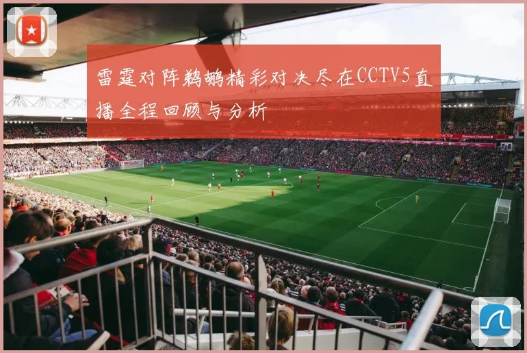 雷霆对阵鹈鹕精彩对决尽在CCTV5直播全程回顾与分析