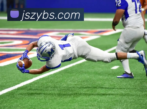 必一运动平台生态图